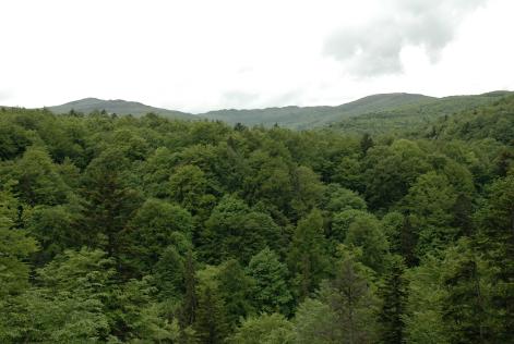 FSC - Juan Carlos Reyes_20050816fscpolonia (96)