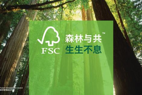 森林与共，生生不息