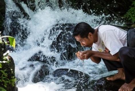 new ecosystem services