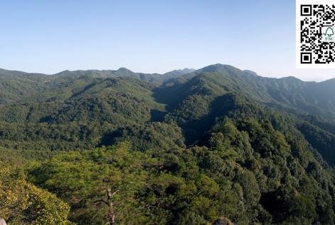 FSC公众号二维码