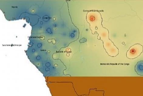 非洲柚木同位素比例