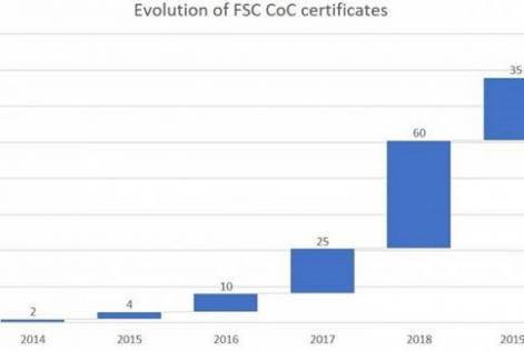 Evolution of FSC CoC certificates
