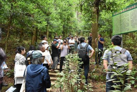 考察团在顺昌县国有林场考察